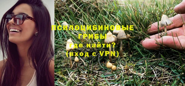 прущие крисы Баксан